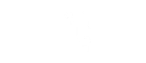 Lit Fibre