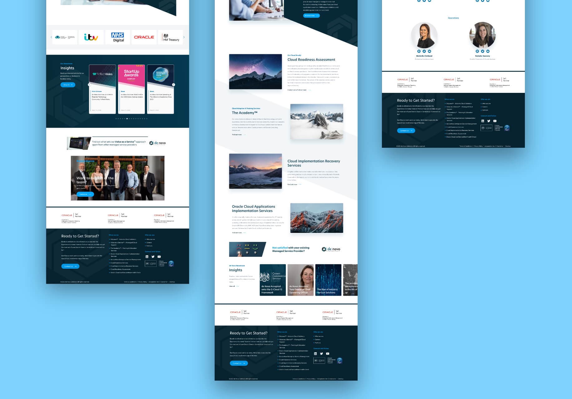 De Novo Solutions | WordPress & React Build - Image 1