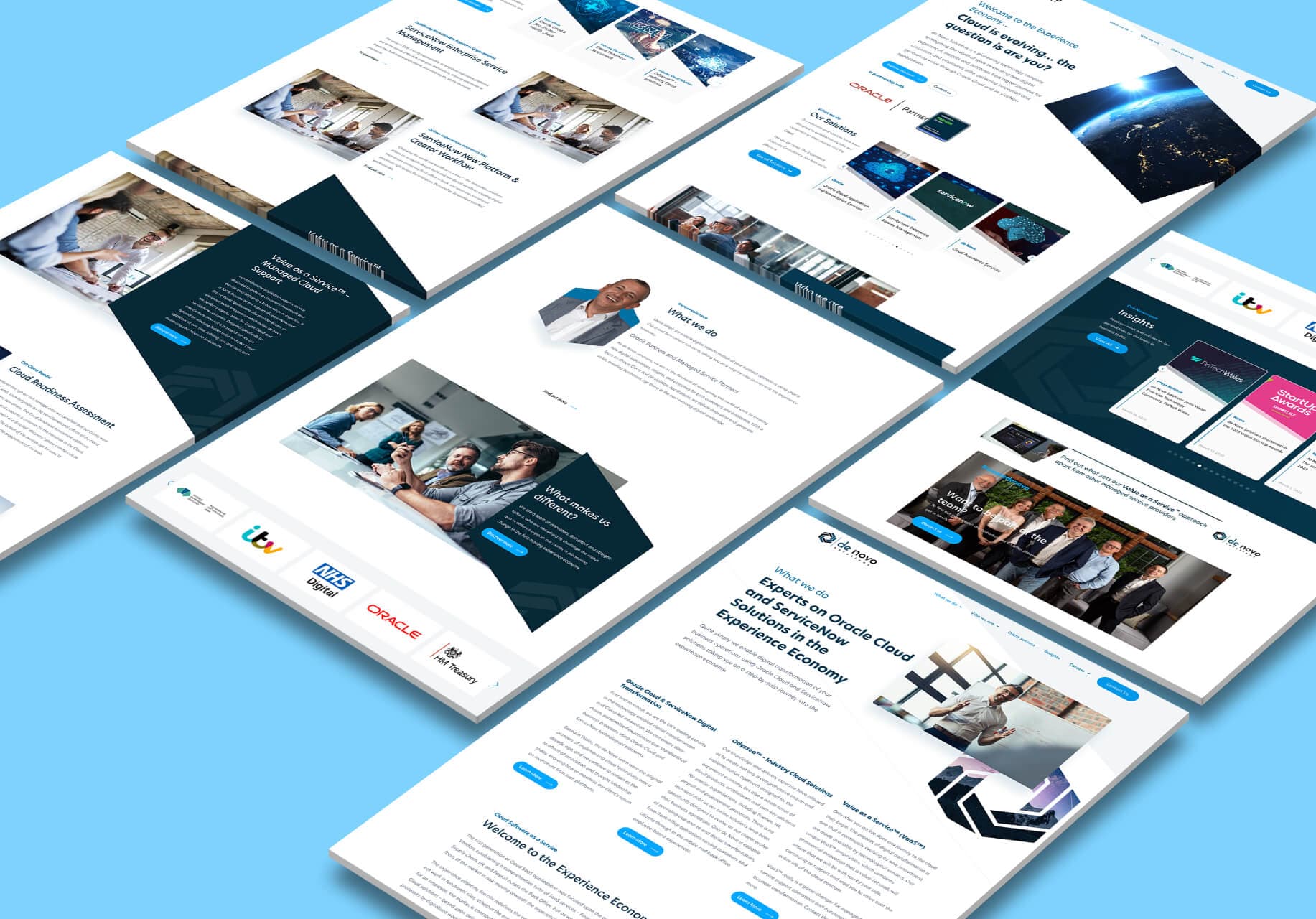 De Novo Solutions | WordPress & React Build - Image 2