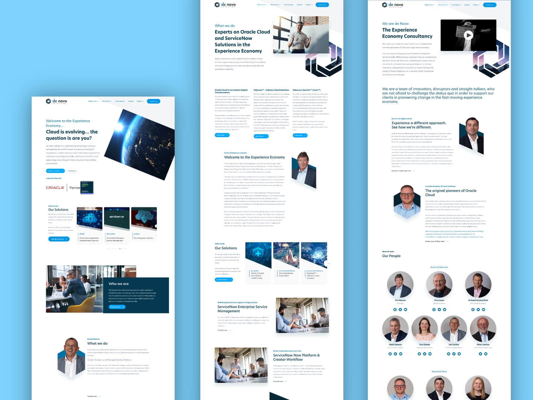 De Novo Solutions | WordPress & React Build